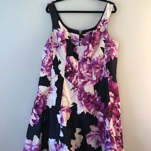 Knee Length Dress Barn Purple and Navy Flare dress